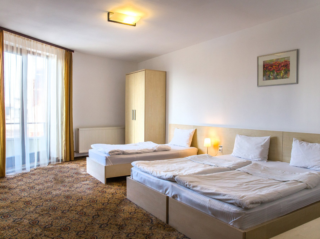 AselTur Brasov主图