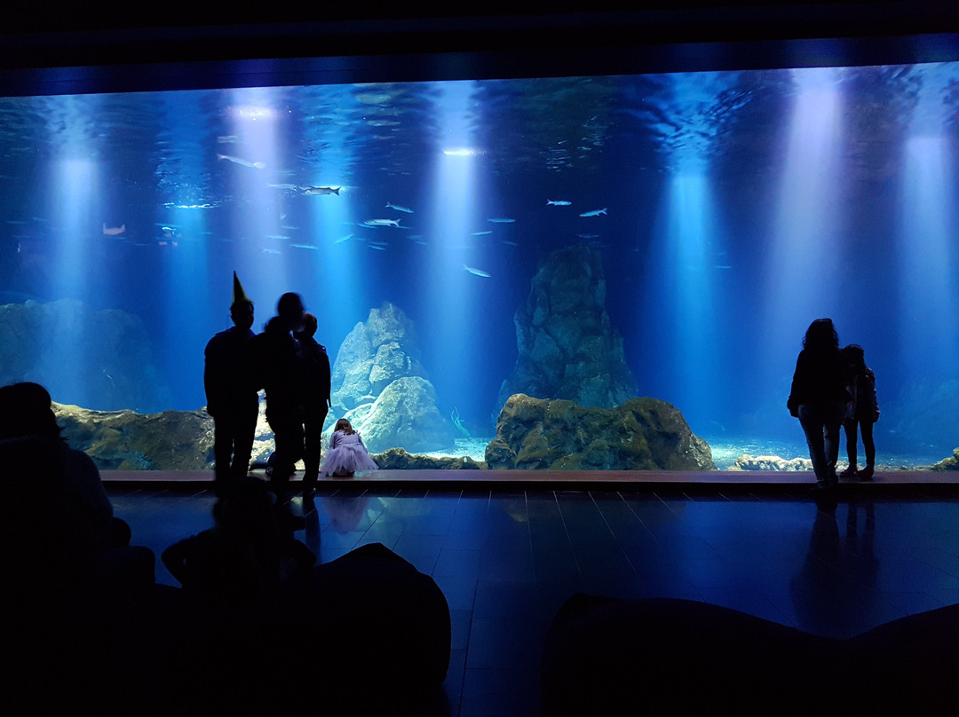 Israel Aquarium-耶路撒冷必去景点