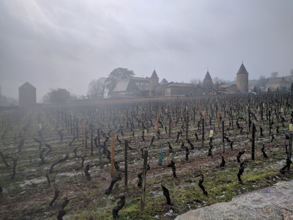 Chateau de Chasselas景点图片