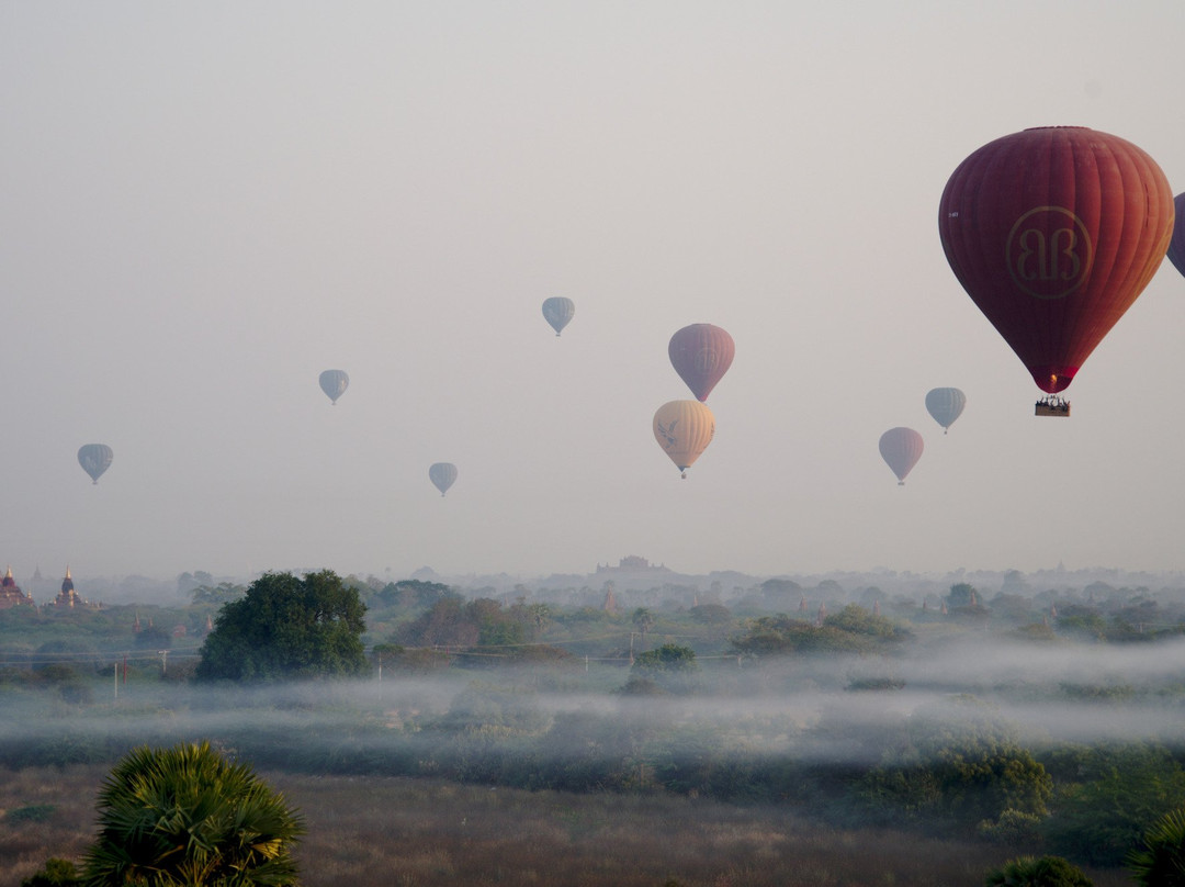 LM Travel景点图片