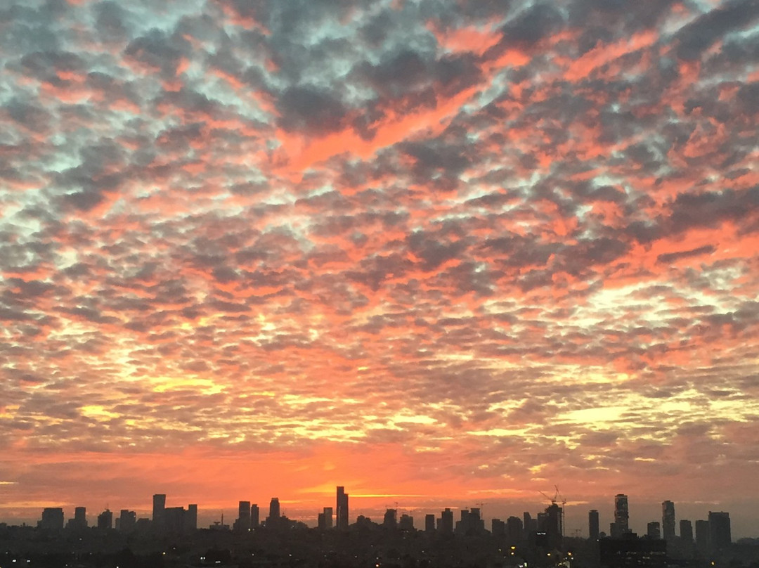 Hotel Prima Link主图