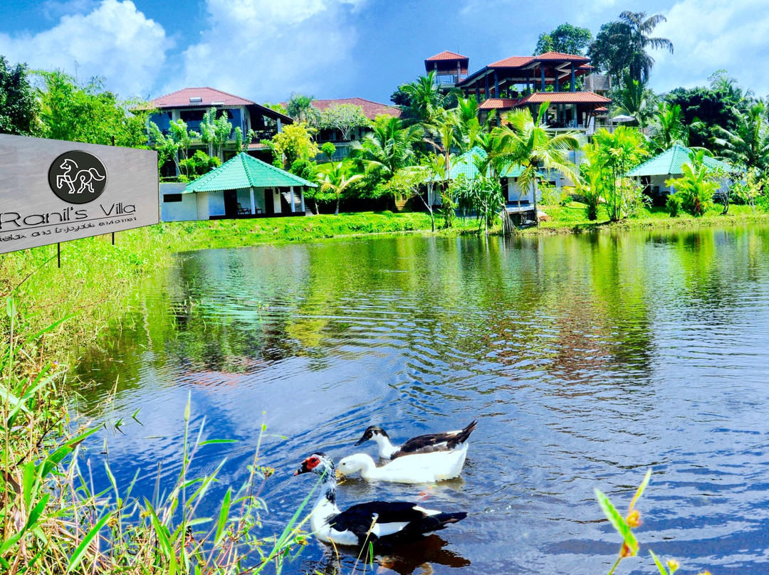 Ranil's Villa Aluthgama主图