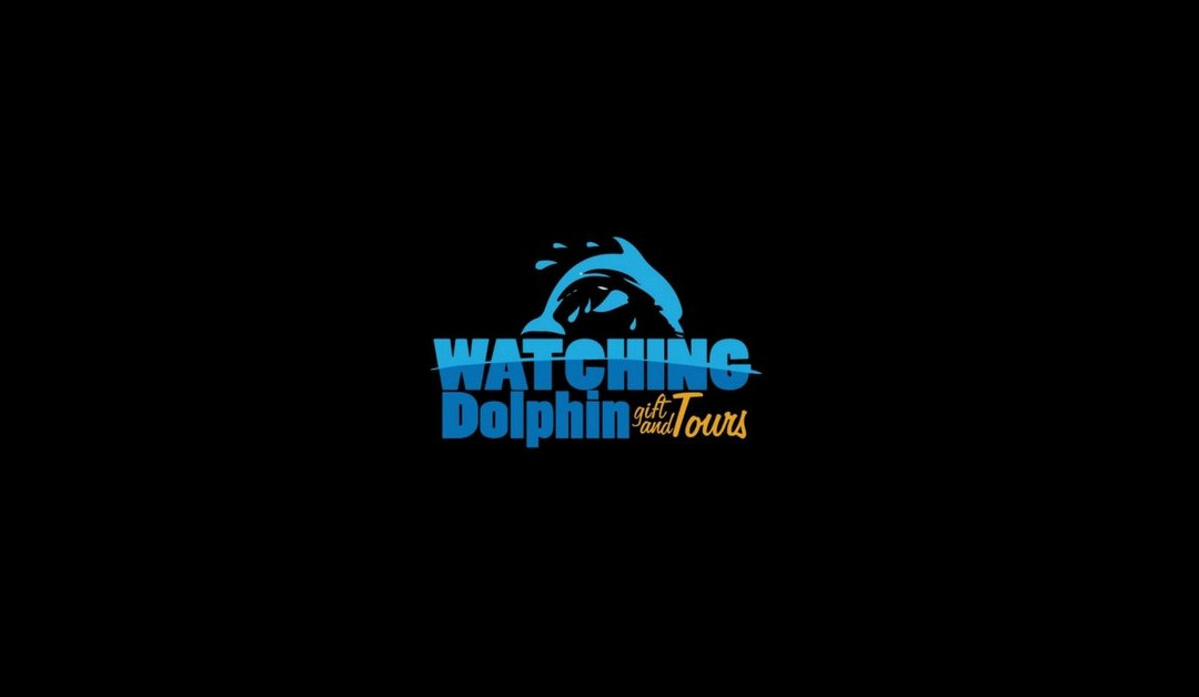 Watching Dolphin景点图片