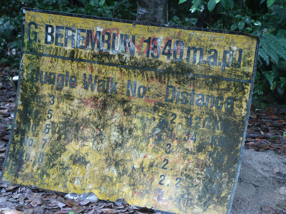 Mount Berembun-丹那拉塔必去景点