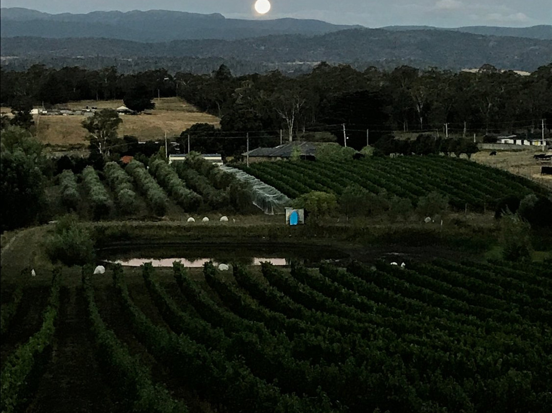 Jinglers Creek Vineyard景点图片