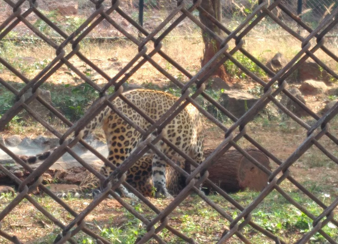 Indira Gandhi Zoological Park景点图片