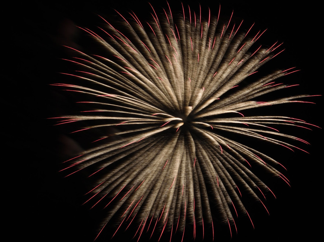 Komatsushima Minato Matsuri Fireworks-小松岛市必去景点