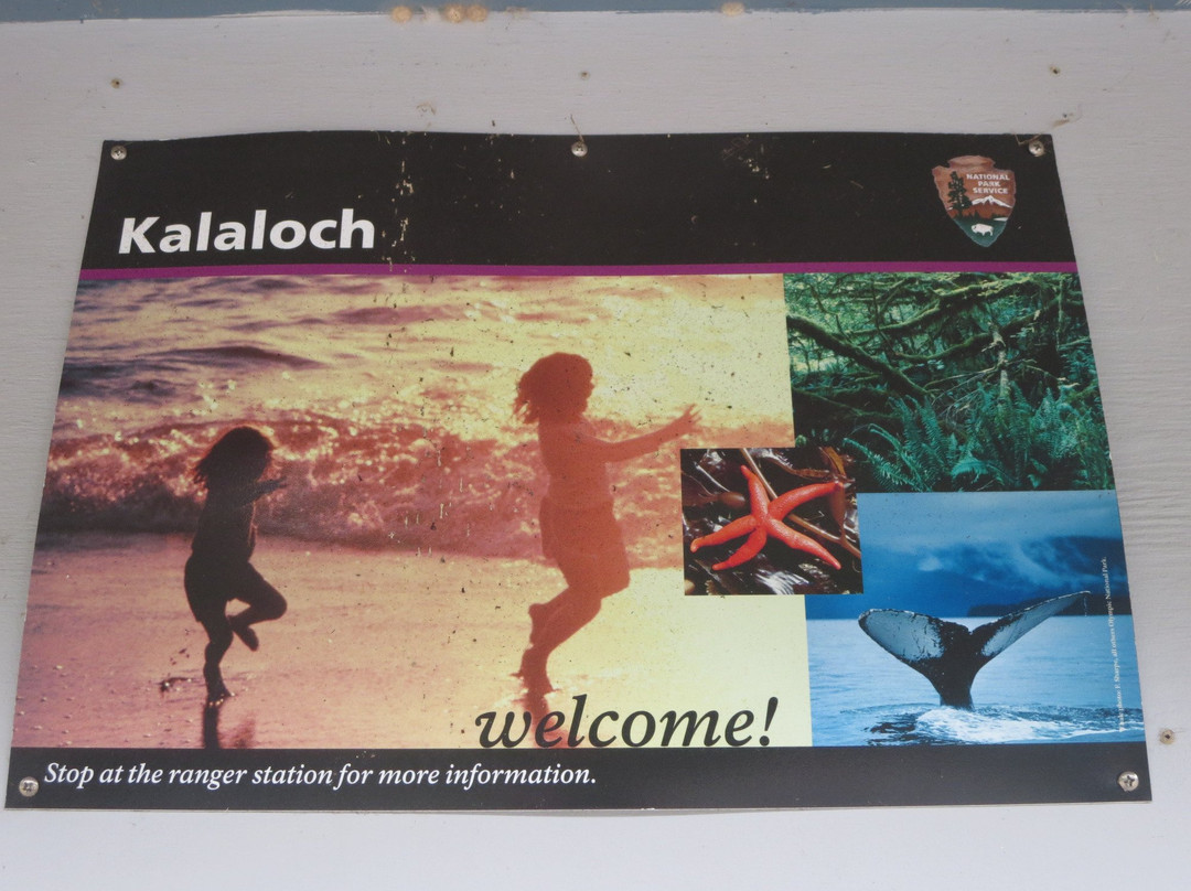 Kalaloch Ranger Station-奥林匹克国家公园必去景点