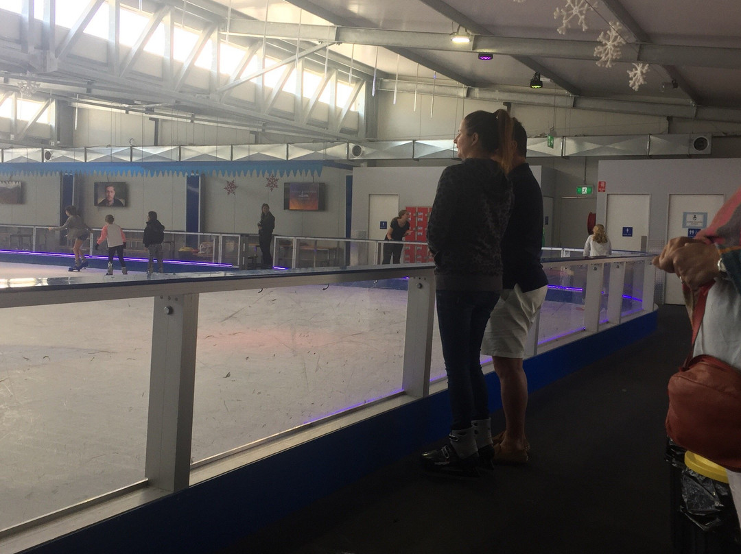 Ice Zoo Ice Rink景点图片