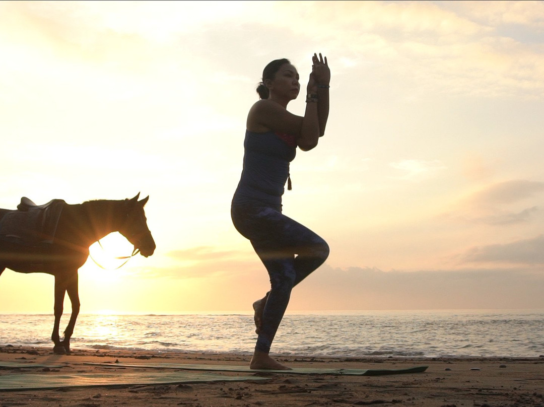 Bali Horse Riding景点图片
