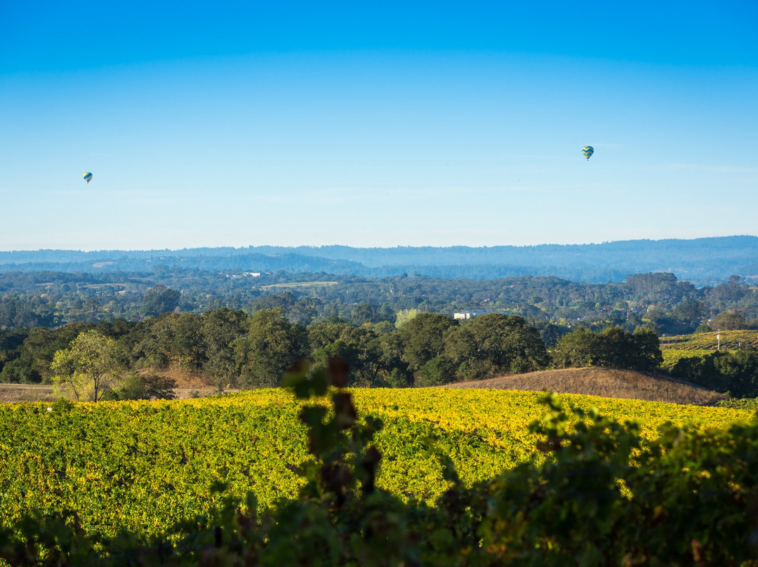 Notre Vue Estate Winery & Vineyards景点图片