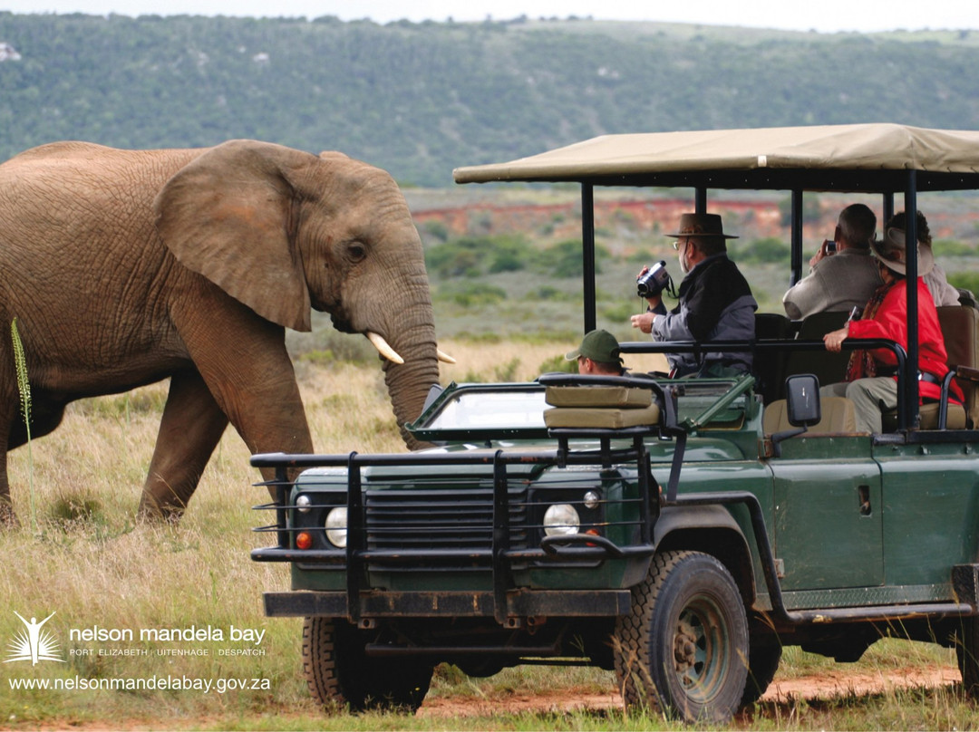 Rainbow Guest House & Tours主图