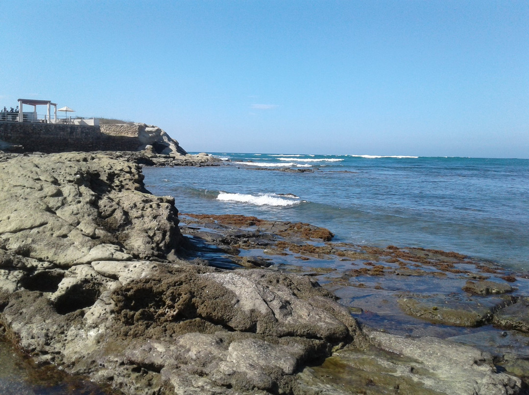 Playa de Punta Blanca景点图片