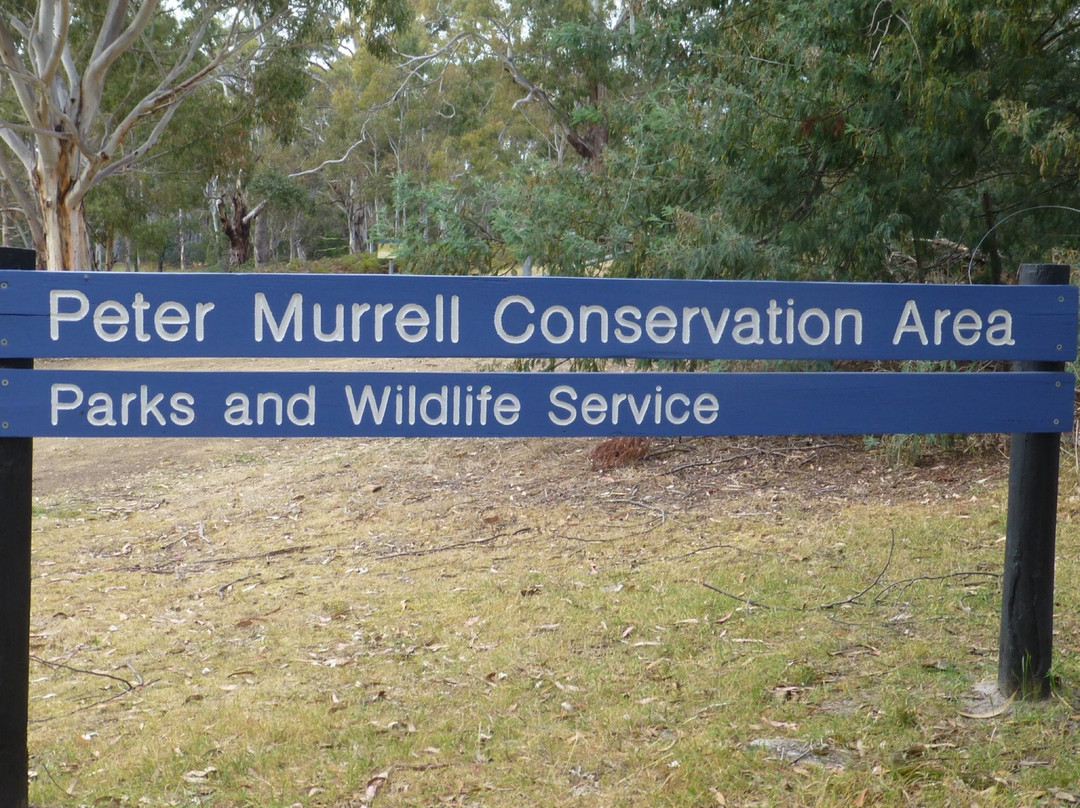 Peter Murrell Nature Reserve景点图片