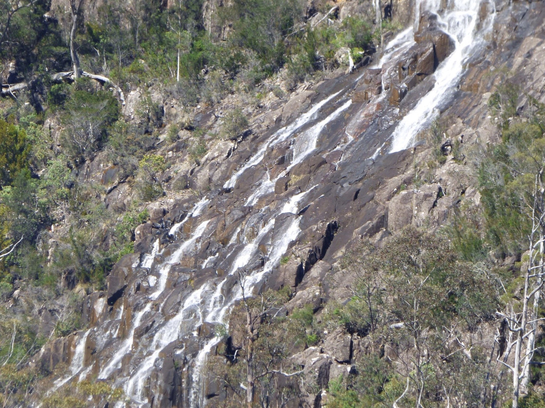Pelverata Falls Track景点图片