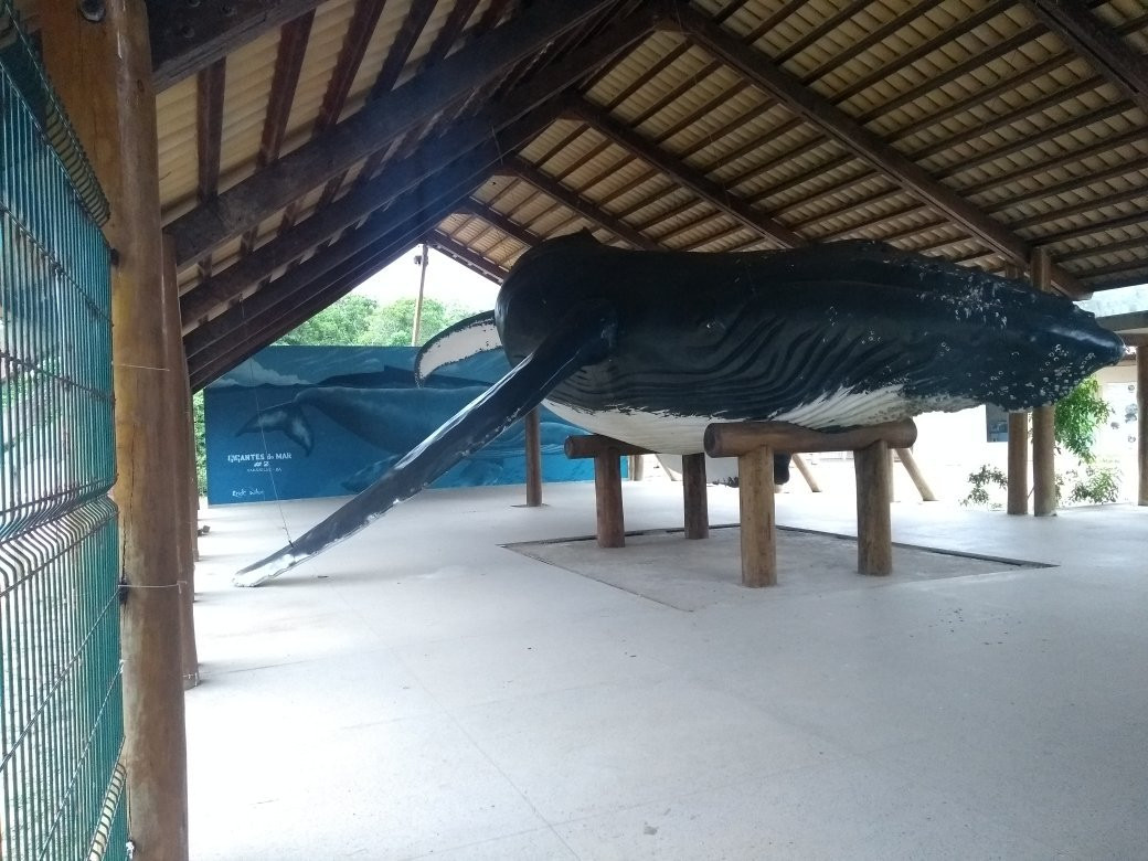 Quitongo Beach-Caravelas必去景点