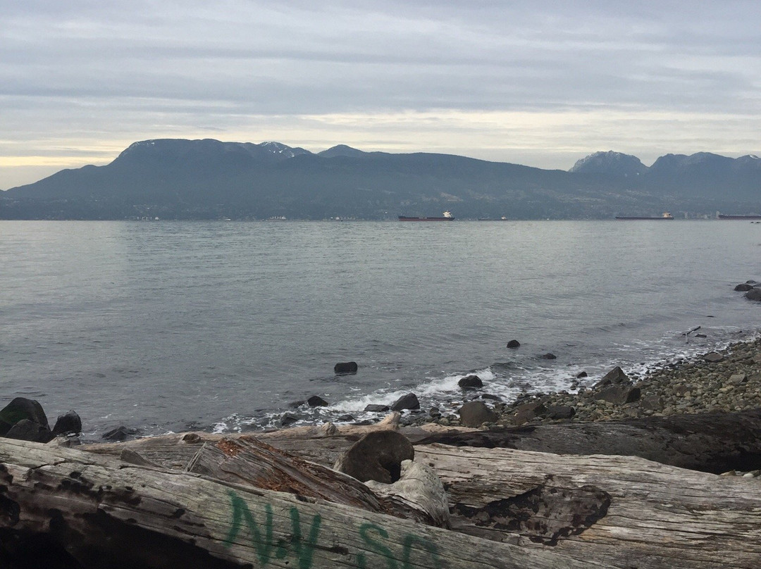 Foreshore Park-纽卡斯尔必去景点