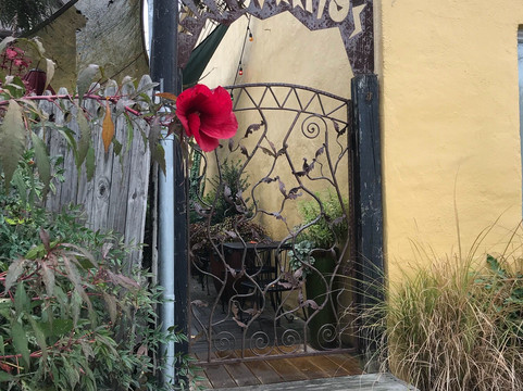 Carrboro餐馆和美食-Carrburritos Taqueria