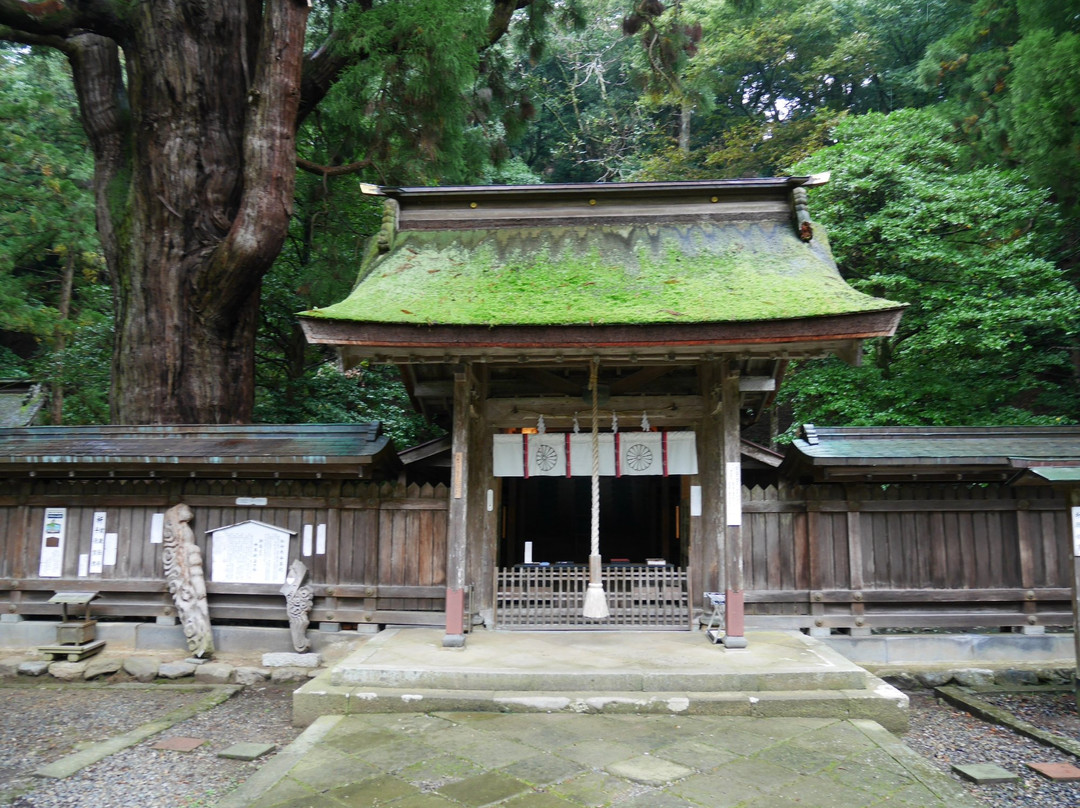 Wakasahime Shrine景点图片