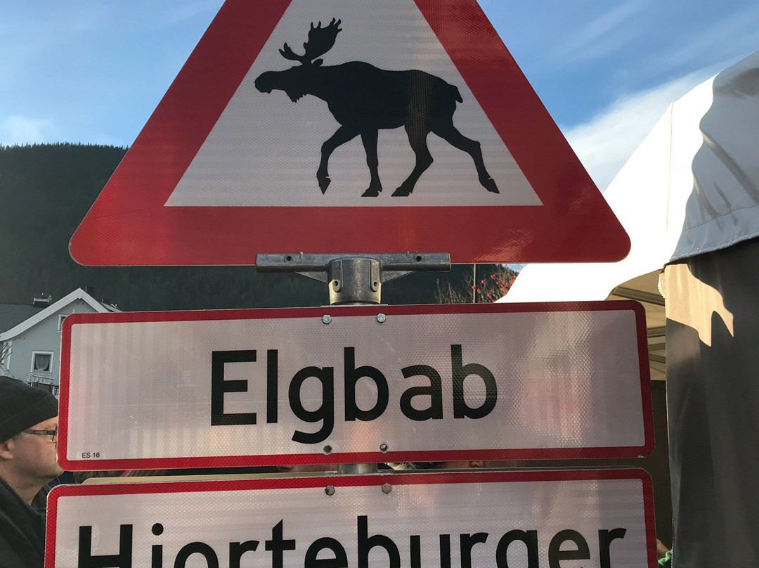 Fagernes Turistinformasjon - Valdres景点图片