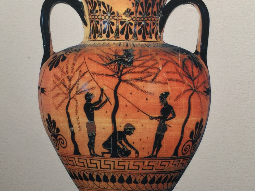 MOO Museo dell'Olivo e dell'Olio景点图片