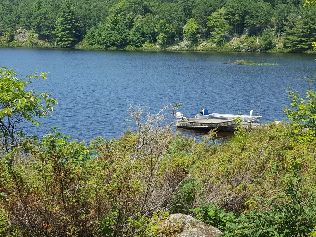 Gullwing Lake Park