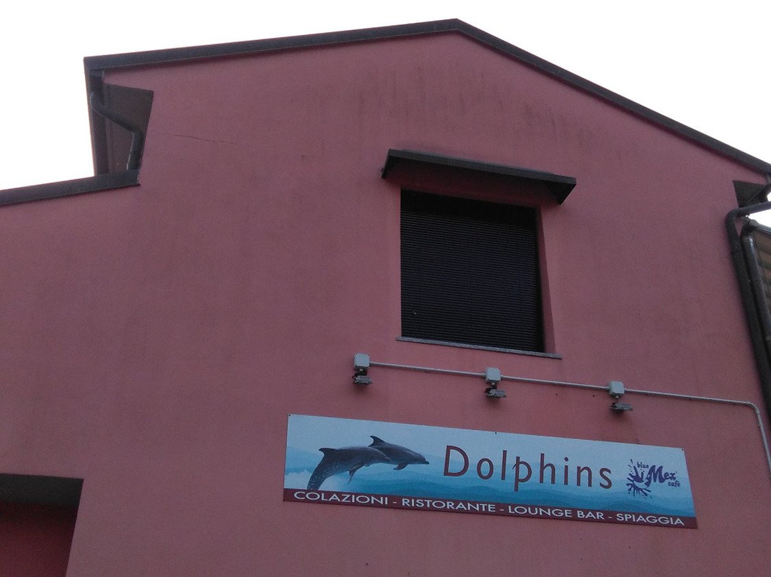 Pettenasco餐馆和美食-Bar Dolphins