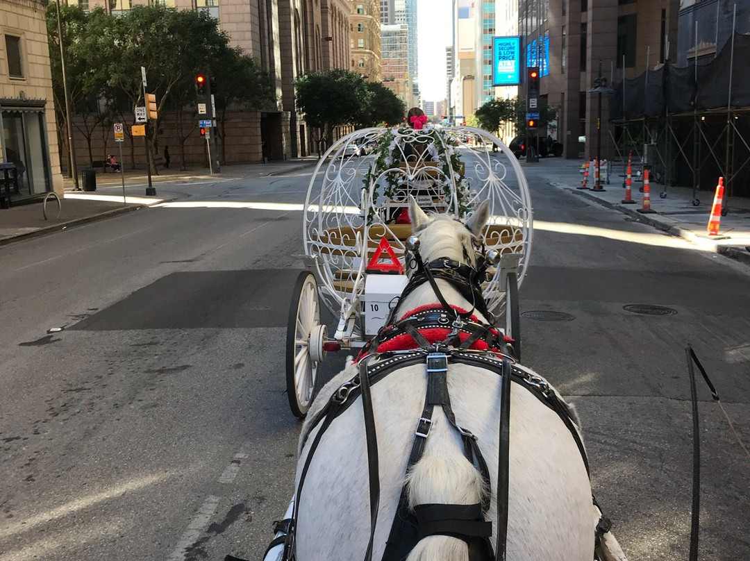 Northstar Carriage-达拉斯必去景点