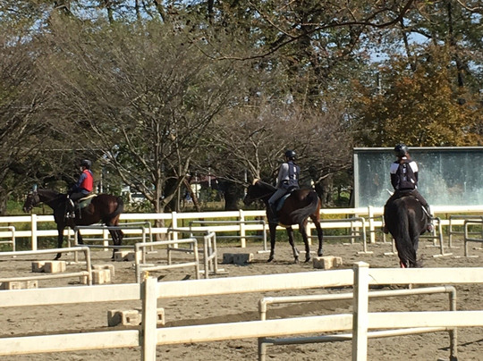 Horse Riding Club Crane Ina-伊奈町必去景点