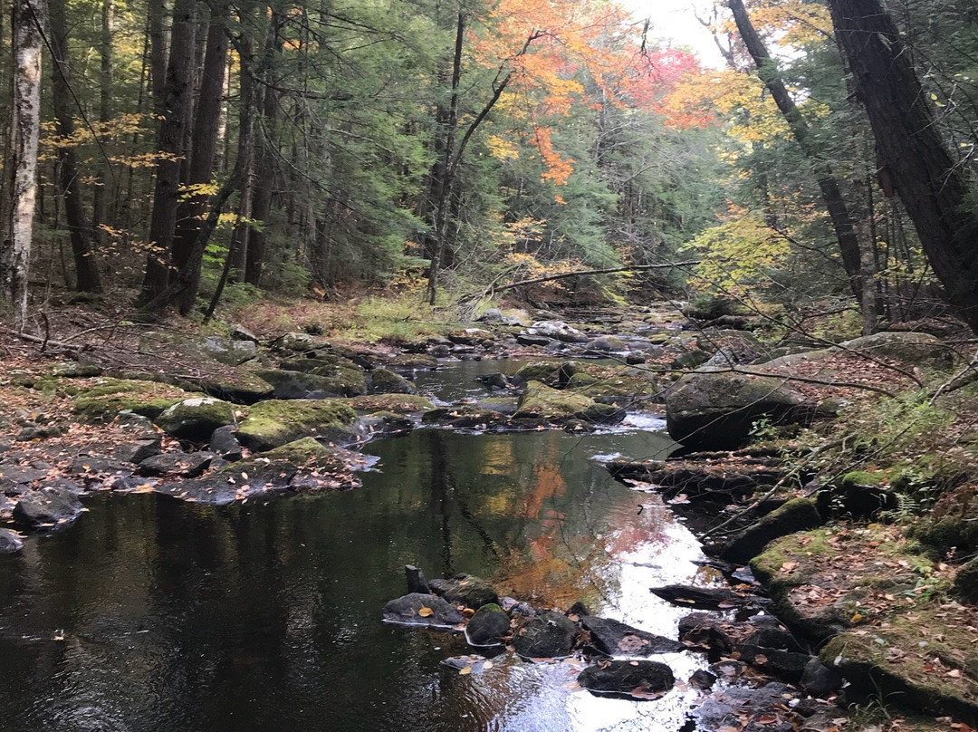 Swift River Reservation-Petersham必去景点