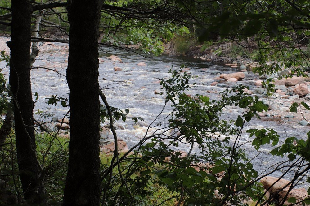 Salmon Pools Trail-Petit Etang必去景点