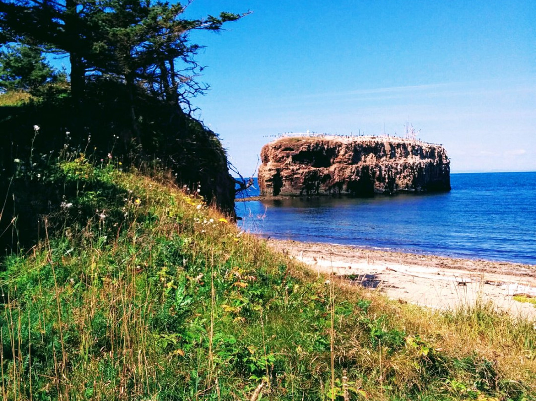 Pokeshaw Rock-Bathurst必去景点