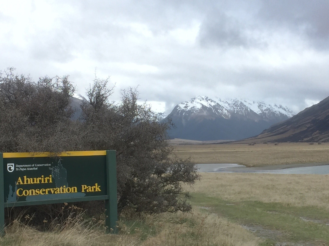 Ahuriri Conservation Park景点图片