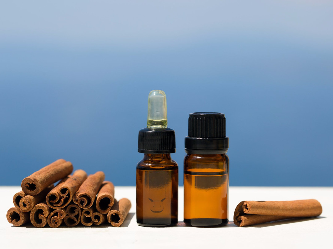 Elite Male Massage-科灵伍德必去景点