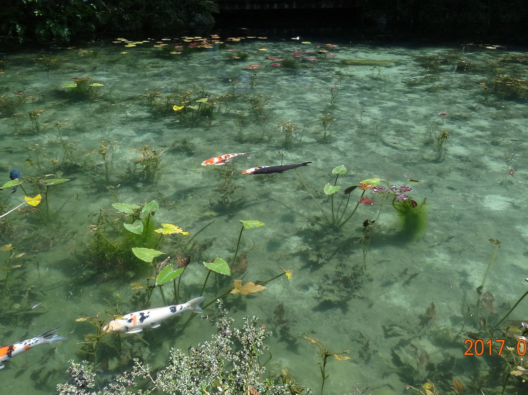 Nemichi Shrine-关市必去景点