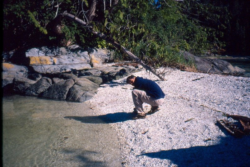 Gods Pocket Marine Provincial Park景点图片