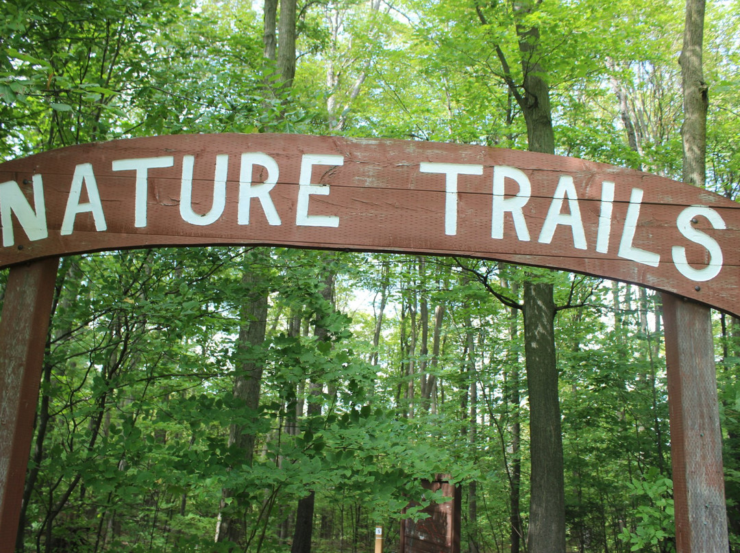 Glen Haffy Conservation Park-卡利登必去景点