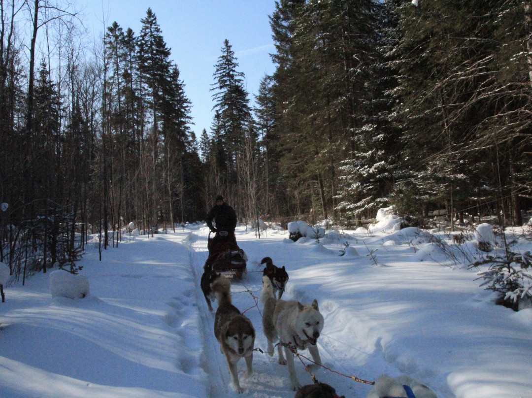 Paintball Fort Ouest-Arundel必去景点