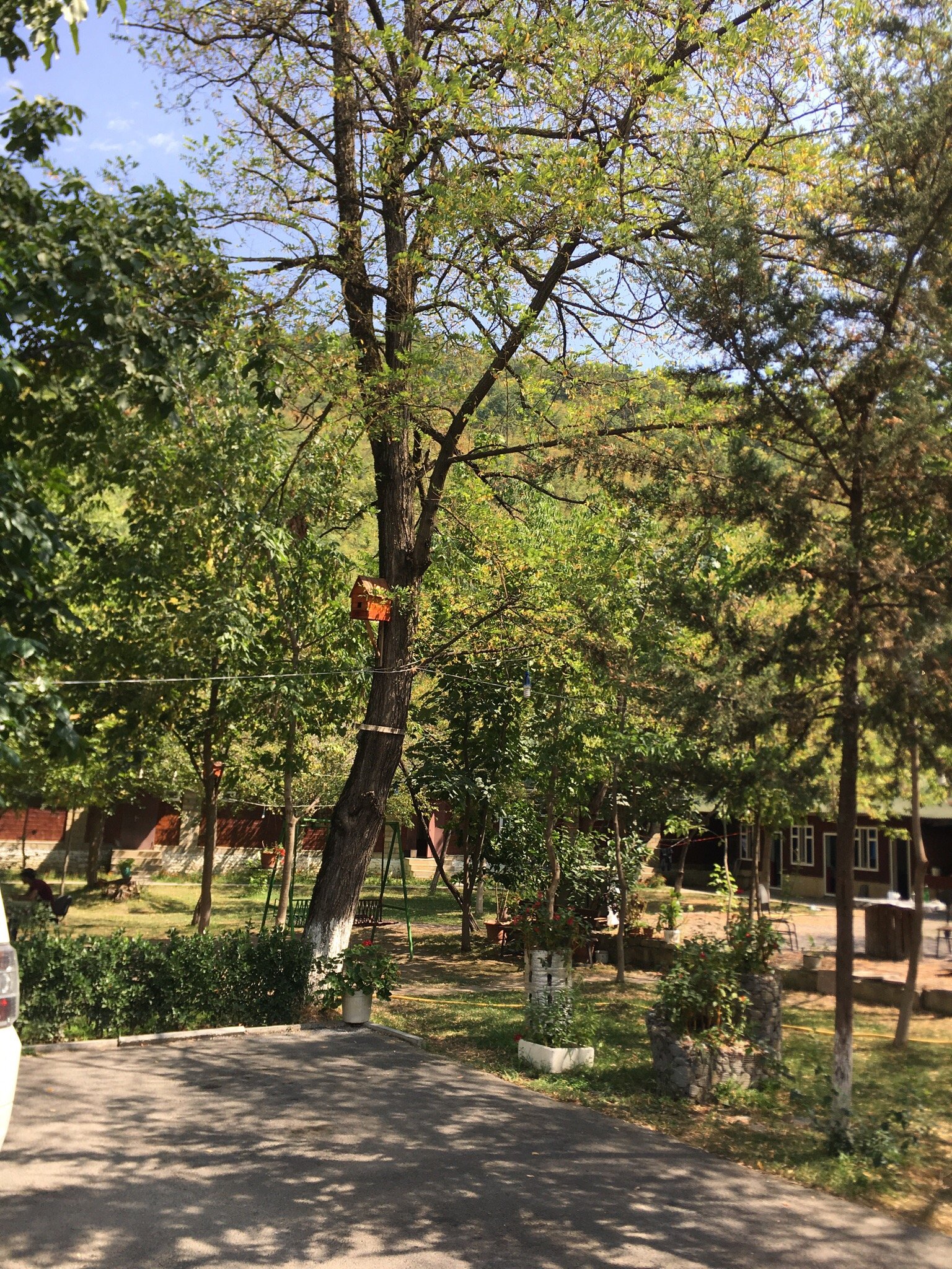 Hotel Yeni Hayat-官方