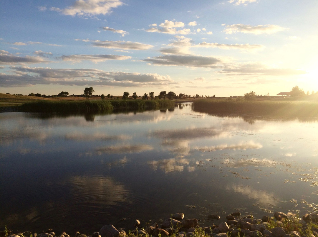 Ryan Park-大福克斯必去景点