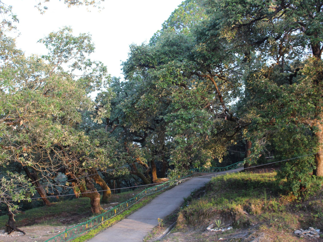Garhwali Mess景点图片