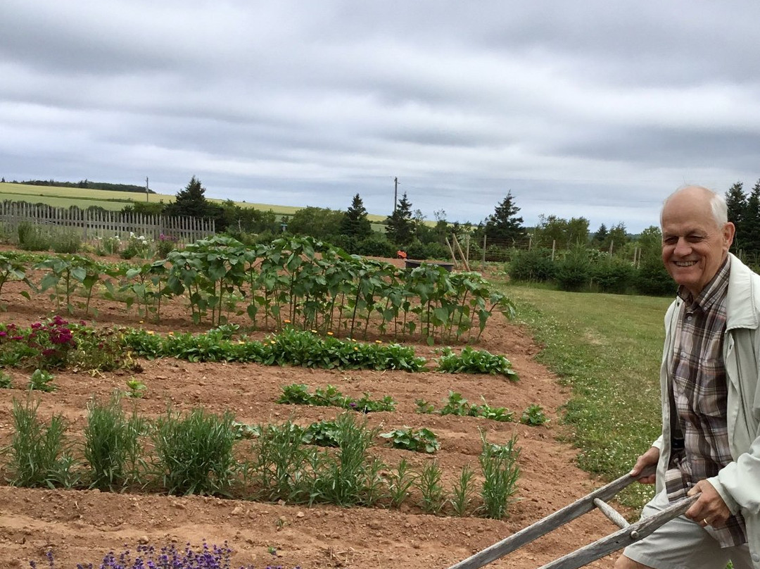 White Gables at Hope River-Breadalbane必去景点