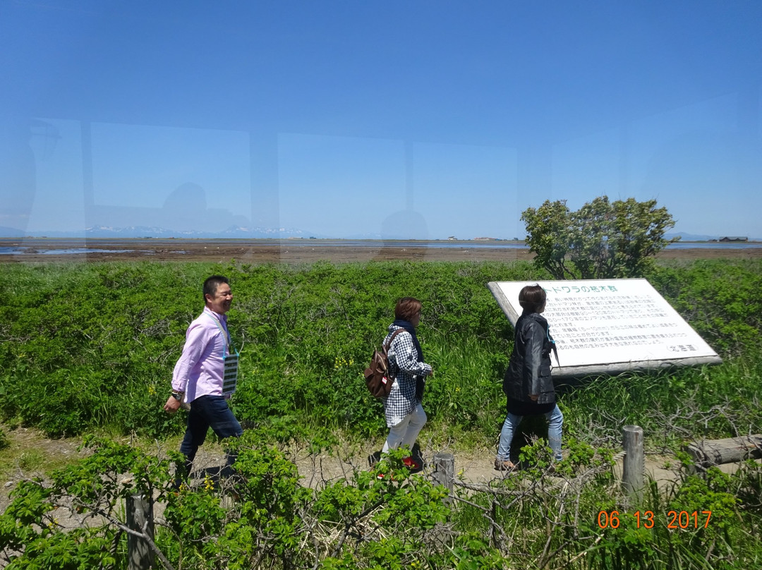 Notsuke Peninsula Natural Flower Garden-别海町必去景点