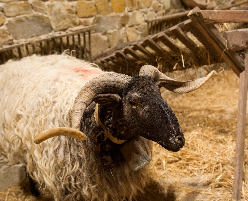 Musee du Pastoralisme et du fromage - Agour Gasnategia - Hélette景点图片