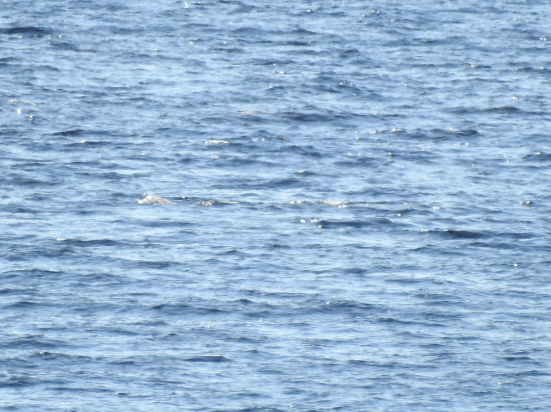 Baie Sainte-Marguerite-Sacré-Coeur-Saguenay必去景点