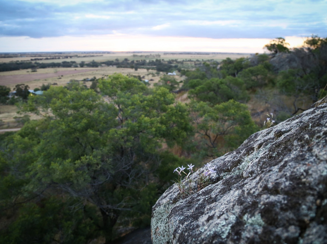 Wedderburn旅游攻略图片