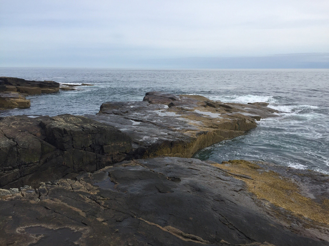 Schoodic National Scenic Byway景点图片