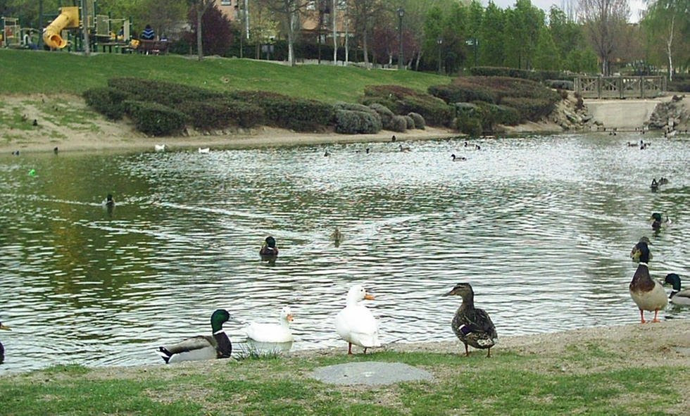 París Park-拉斯罗萨斯必去景点