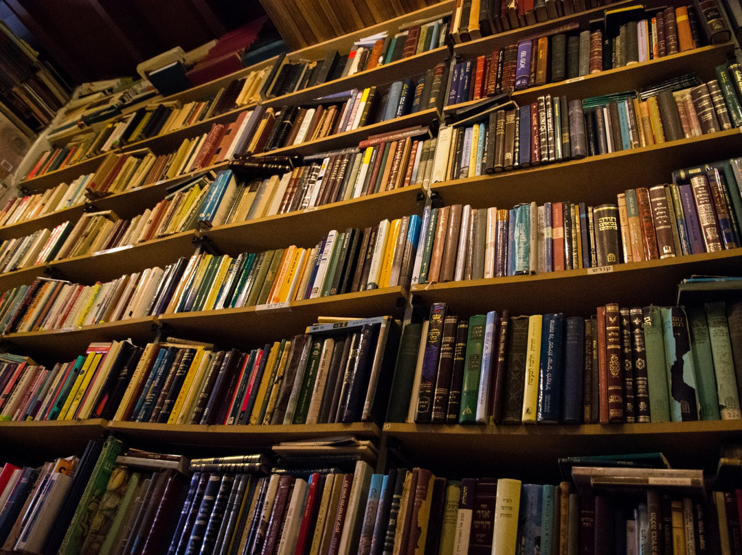 Holzer - Books-耶路撒冷必去景点