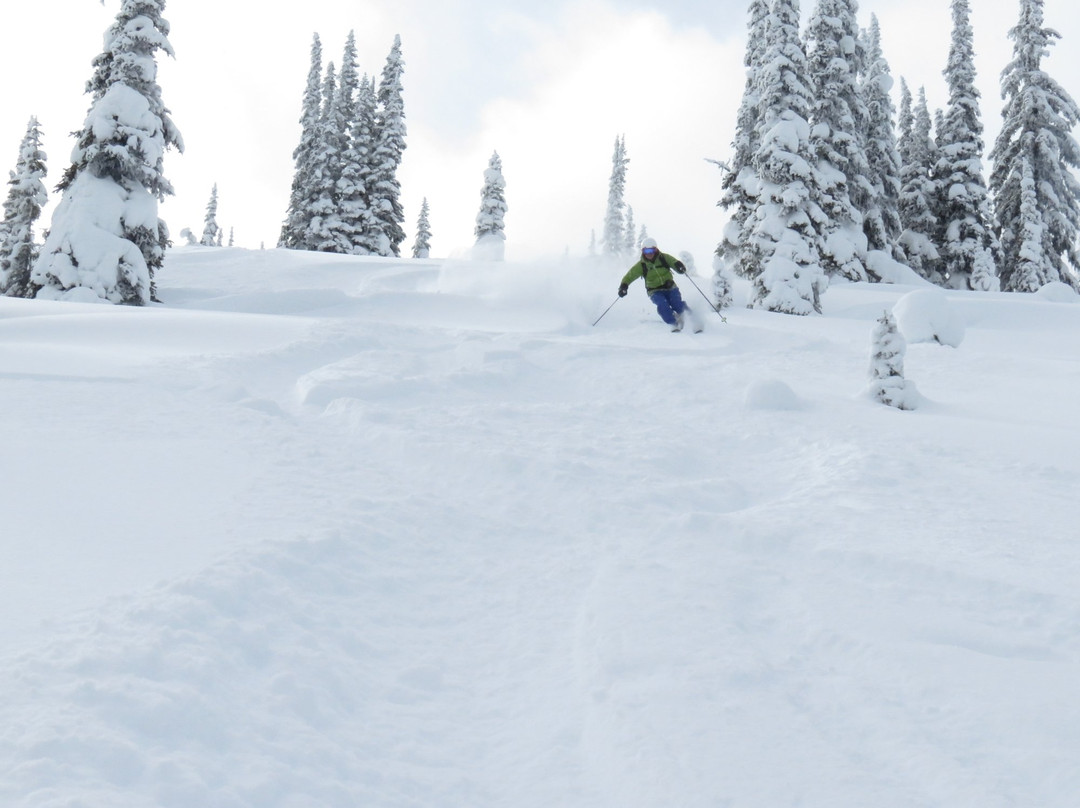 Cariboo SnowCat Skiing-维尔蒙特必去景点